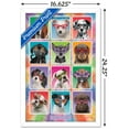 thumbnail image 2 of Keith Kimberlin - Chiots - Lunettes de soleil, 2 of 4