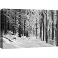 thumbnail image 1 of IDEA4WALL Canvas Wall Art Small Path Through Trees in Snowy Winter Time Nature Forest Photography Realism Traditional Scenic Dramatic Black and White for Living Room, Bedroom, Office - 16"x24", 1 of 5