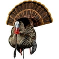 AvianX HDR Strutter Adjustable Tail Fan Realistic Turkey Hunting Decoy