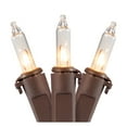 thumbnail image 1 of Northlight Mini Incandescent Christmas Lights - Clear - 4' Brown Wire - 20ct, 1 of 6
