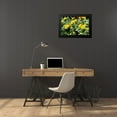 thumbnail image 4 of Hausenflock, Alan 24x17 Black Modern Framed Museum Art Print Titled - Yellow Daisies I, 4 of 5