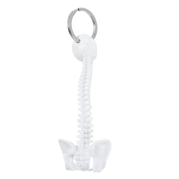 Homoyoyo Lumbar Spine Model Keychain Plastic 1Pcs