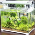 thumbnail image 5 of Aquarium Thermometer 3D Digital LCD Meter Electronic Temperature Measurement Aquarium Thermometer 7*2*1cm, 5 of 5