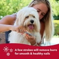 thumbnail image 5 of Coastal Pet Safari Dog Nail File - Ensure a Smooth Finish After Cutting - Remove Burs from Outdoor & Indoor Dogs - One Size, 5 of 6
