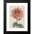 thumbnail image 2 of Keika Hasegawa 13x18 Black Modern Framed Museum Art Print Titled - Keika Hyakugiku, Pl.27 (1893), 2 of 5