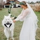thumbnail image 5 of perro formal vestido bandana perro boda bandana perro pajarita MFZFUKR CPB-US-YY145-2, 5 of 5
