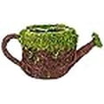 thumbnail image 3 of SuperMoss (55259) Arrosoir Déco 5 Pouces, Petit, 3 of 3