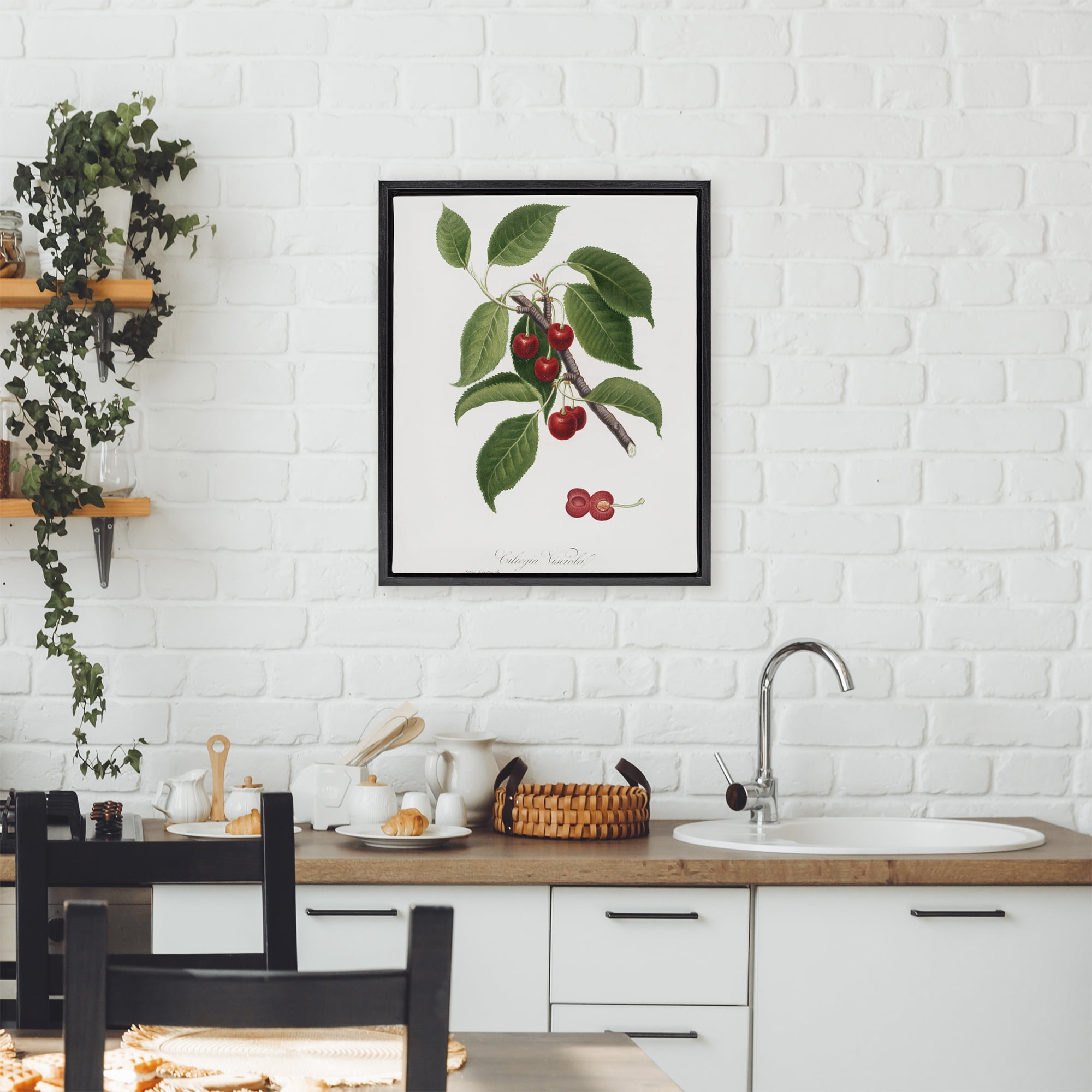 Latin Study of Cherry Plant Black Framed Floater Canvas Wall Art, design by Lettered and Lined