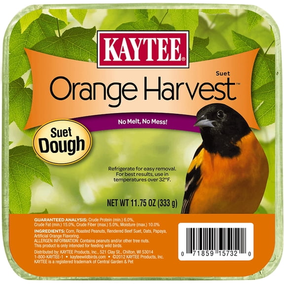 Kaytee Orange Harvest Suet Dough, 11.75 oz