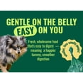 thumbnail image 4 of Azestfor Homemade Dog Food Supplement Dog Vitamins Made in USA Add to Holistic Whole Food Diets Raw BARF All Breeds Puppy Adult 16oz Powder, 4 of 14