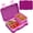 Rose Red, variant on Bento Lunch Box, 6 Compartments BPA Free Bento, Lunch Containers, Dishwasher Safe,Snack Lunch Box, Ideal Portion Sizes on-the-Go Meal(Blue)
