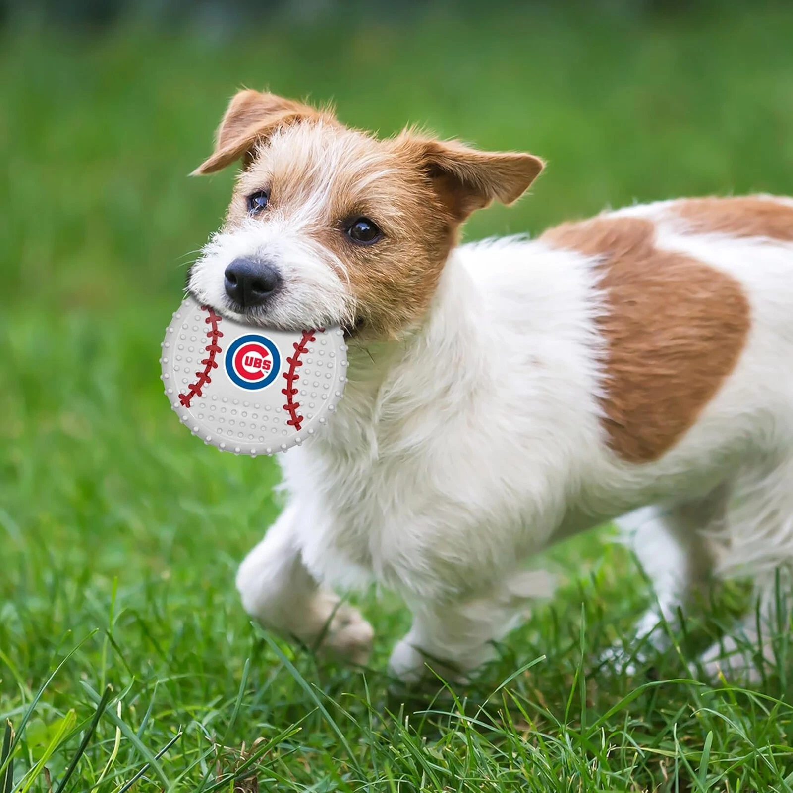 Pets First MLB Hard-Nylon Baseball Flavored Dog Chew Toys for Aggressive Chewers