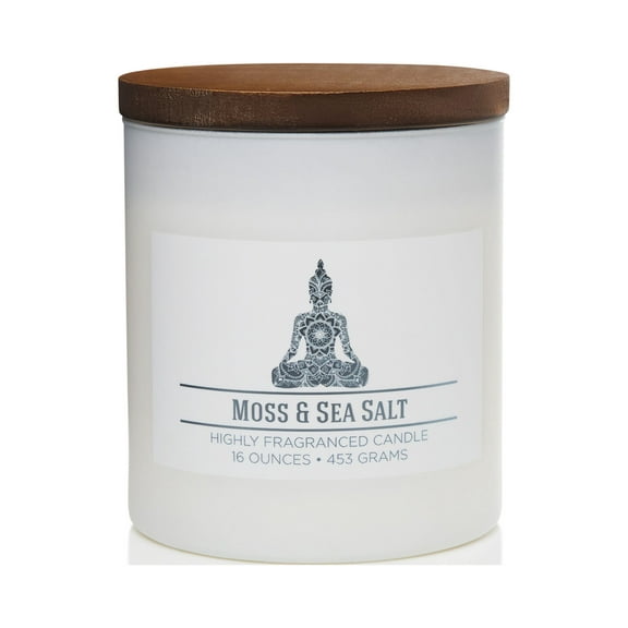 Colonial Candle Wellness Moss & Sea Salt Scented Jar Candle, 2 Wick, 16 oz, 60 Hours Burn, Fresh