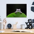 thumbnail image 4 of Epic Art 'Peekaboo' by Epic Portfolio Acrylic Glass Wall Art, 16"x12", 4 of 8