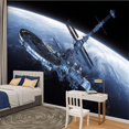 thumbnail image 2 of Peel and Stick Wallpaper Big Space Station Orbiting Blue Planet Earth Modern Art Wall Mural Decor Self Adhesive and Removable 100in x 144in, 2 of 8