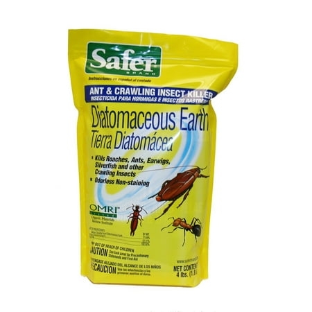 Brand 51702 Diatomaceous Earth - Bed Bug, Ant and Crawling Insect Killer, 4-Pound Bag, Diatomaceous earth-based powder is a highly effective ant killer;.., By