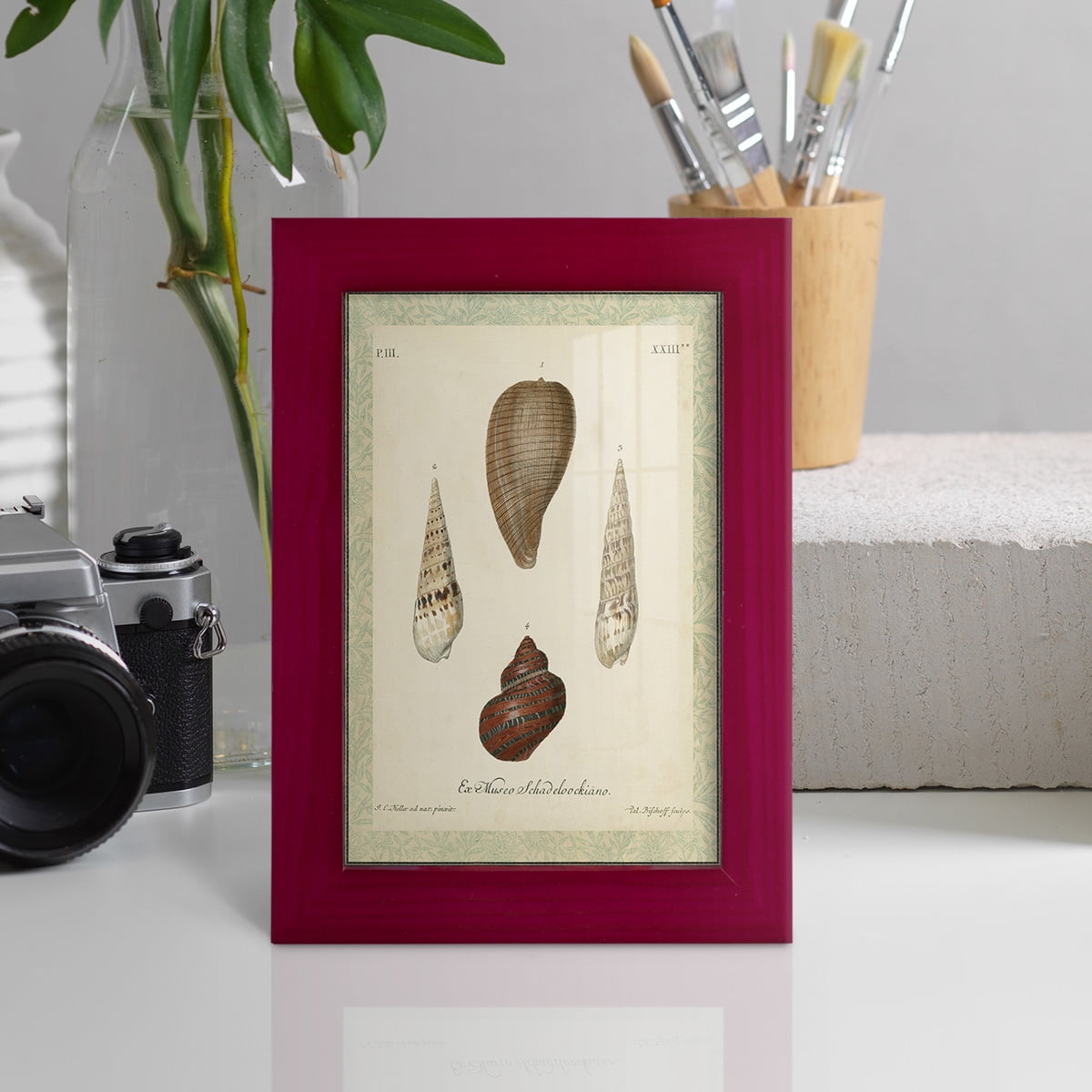 Bookplate Shells V - Framed Print w/glass - Cherry Red
