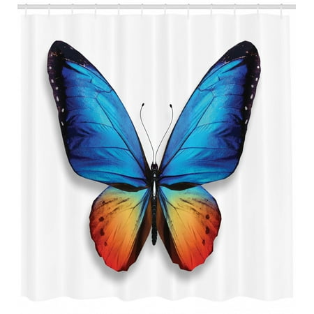 Butterflies Decorations Big Butterfly Manifests Never Ending Cycle