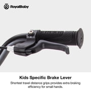 Royalbaby Freestyle 16 Bicycle for Boys and Girls Ages 6-8 Years, Green