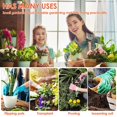 thumbnail image 2 of 13 Piezas de Herramientas para Plantas Suculentas de Jardín, Minikit de Jardineras para Trasplantes de Bonsáis en Miniatura de Interior, Herramientas para Plántulas, 2 of 5
