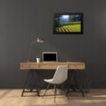 thumbnail image 4 of Crane, Rita 24x17 Black Modern Framed Museum Art Print Titled - Sunlit Vineyard I, 4 of 5
