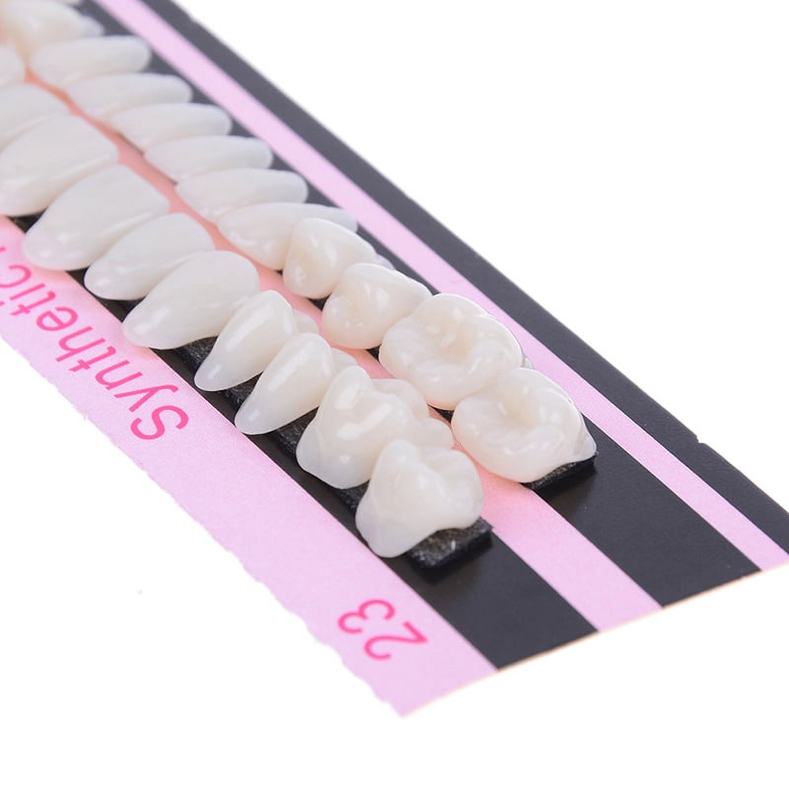 28Pc 1set denture acrylic resin full set teeth upper lower shade 23# A2 dental