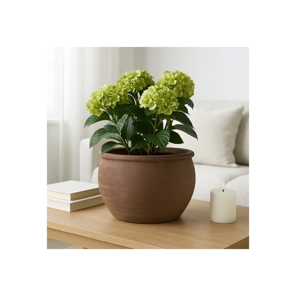 Round Traditional Flower Pots for Home Decor Accent - Terracotta Planter for Indoor and Outdoor Plants - Rustic Garden Plant Pots for Garden Planters, Entryway, and Hallway Styling - 9", Brown