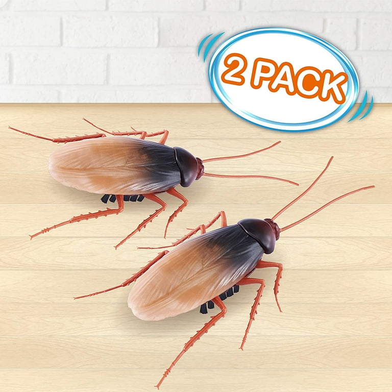 Cockroach toy 2025