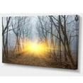 thumbnail image 2 of Rayons de Soleil Jaunes dans la Forêt Brumeuse, 2 of 3