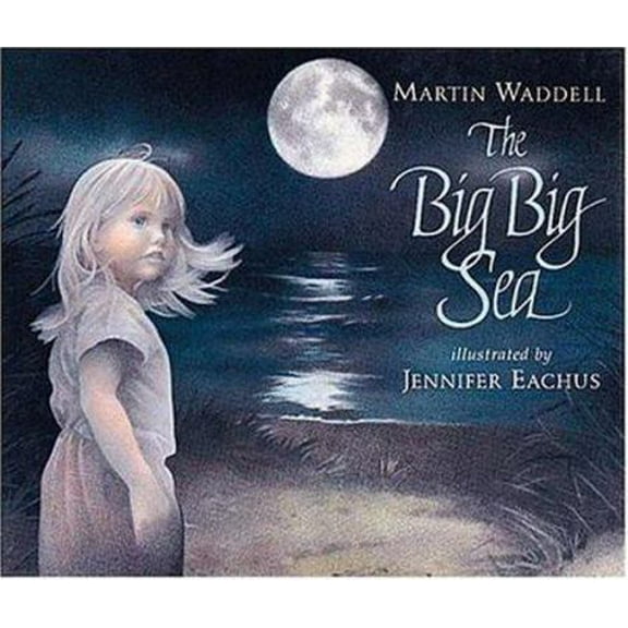 Pre-Owned The Big Big Sea (Hardcover) 1564020665 9781564020666