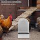 thumbnail image 5 of Comedero automático para pollos: Comedero metálico resistente para aves de corral - Dispensador de alimento vertical resistente a la intemperie - Accesorio para gallinero grande en granjas pequeñas., 5 of 7