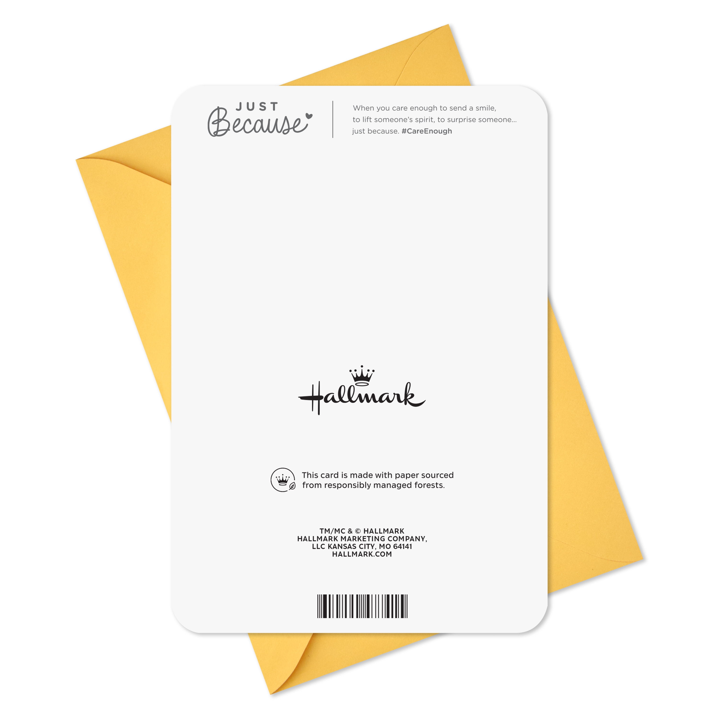 Hallmark Just Because Congratulations Card (Let the Adventure Begin)