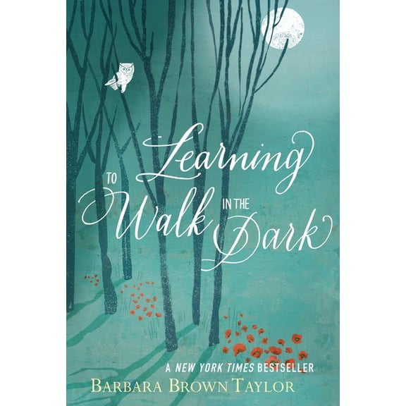 Learning to Walk in the Dark: Because Sometimes God Shows Up at Night, (Paperback)
