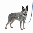 thumbnail image 1 of Arnés para perro PetSafe Easy Walk antitirones acolchado azul M/L, 1 of 6