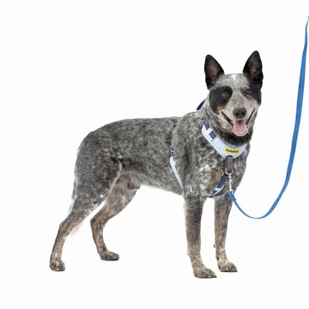 Arnés para perro PetSafe Easy Walk antitirones acolchado azul M/L
