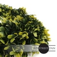 thumbnail image 3 of 3rd Street Inn 22" Golden Boxwood Indoor/Outdoor Wreath (XL), 3 of 5