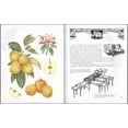 thumbnail image 4 of The New Book of Apples : The Definitive Guide to Over 2,000 Varieties (Hardcover), 4 of 4