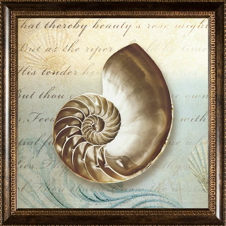 Clinton Portis Memorabilia - Pro Tour Memorabilia Seashell Framed Artwork