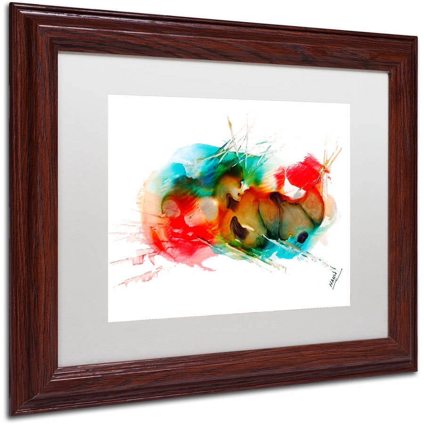 Trademark Fine Art "Abstract 01" Canvas Art by Mako, White Matte, Wood Frame