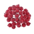 thumbnail image 1 of 200pcs Mini Christmas Frosted Fruit Artificial Flower Party Decoration Red Color, 1 of 8