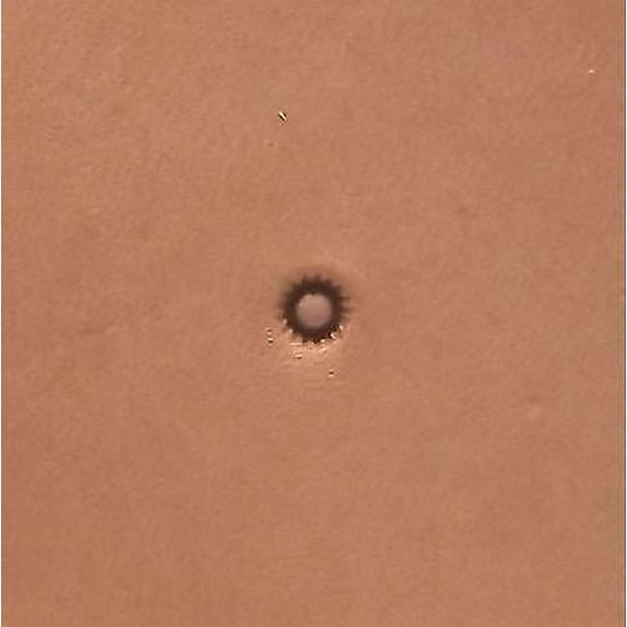 Serrated Seeder Leather Stamp S706 3/32" (2.3mm) US Stamps