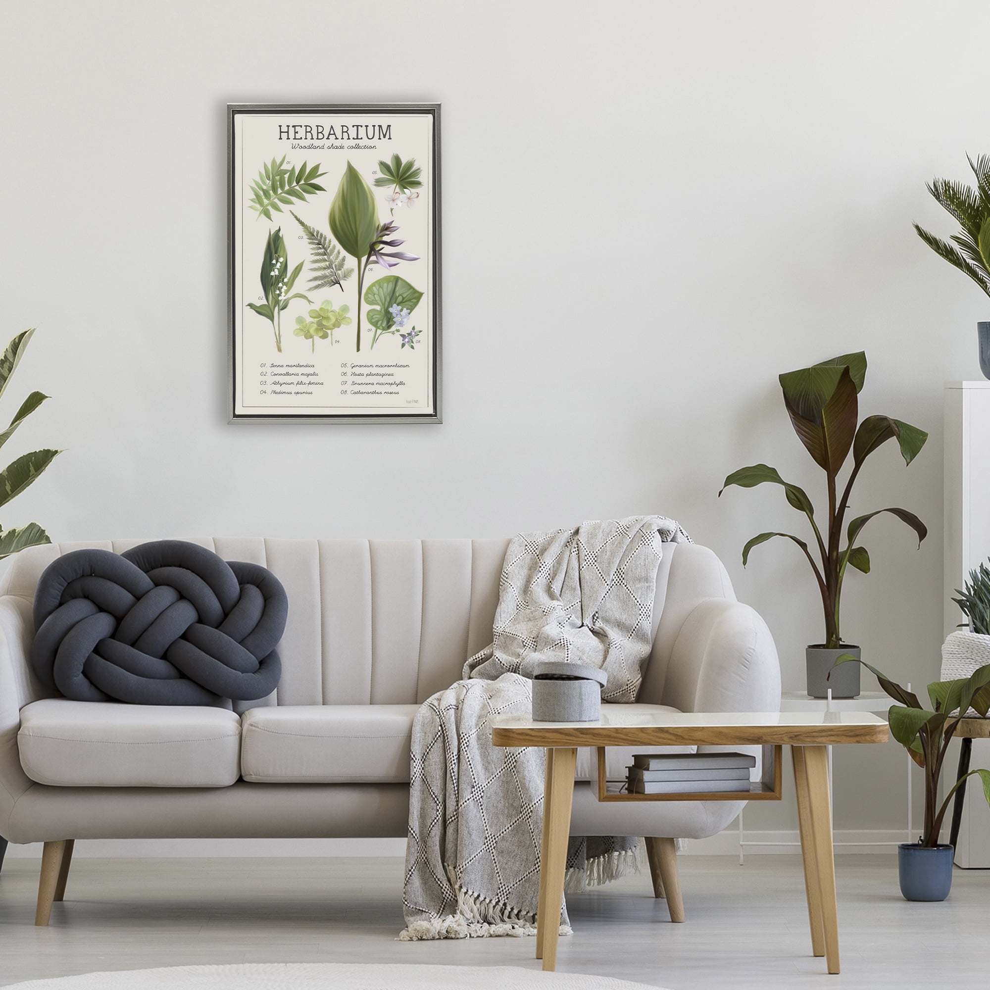 Stupell Industries Herbarium Woodland Shade Collection Gray Framed Floater Canvas Wall Art, design by House Fenway
