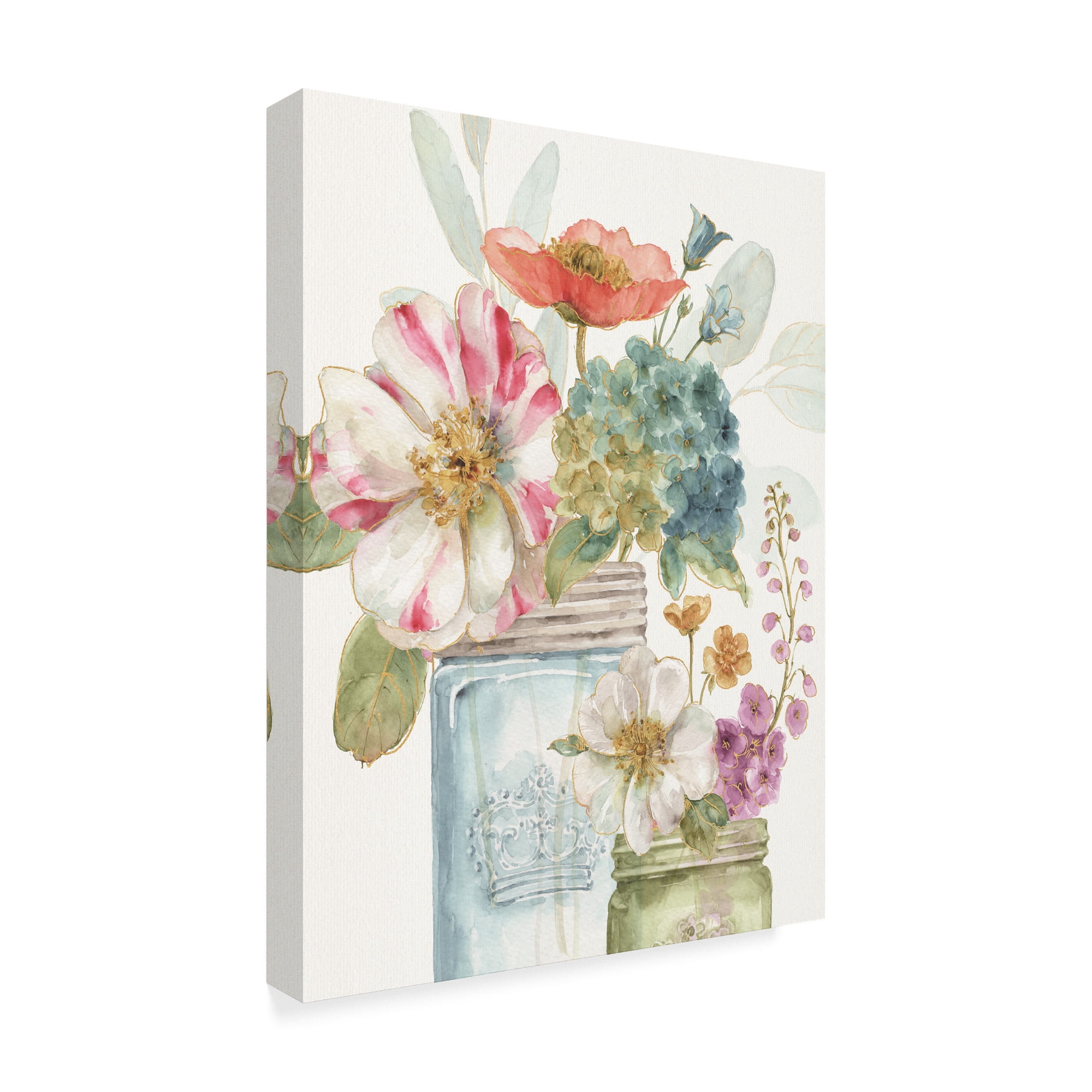 Trademark Fine Art 'Rainbow Seeds Flowers IX' Canvas Art by Lisa Audit