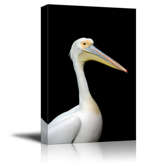Wall26 Canvas Prints Wall Art - Pelican on a Black Background | Modern Wall Decor/Home Decoration Stretched Gallery Canvas Wrap Giclee Print. Ready to Hang - 32" x 48"