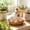 A, variant on Rustic Chicken Figurine Hen Sitting on Eggs Resin Statue Garden Home Table Decor,A