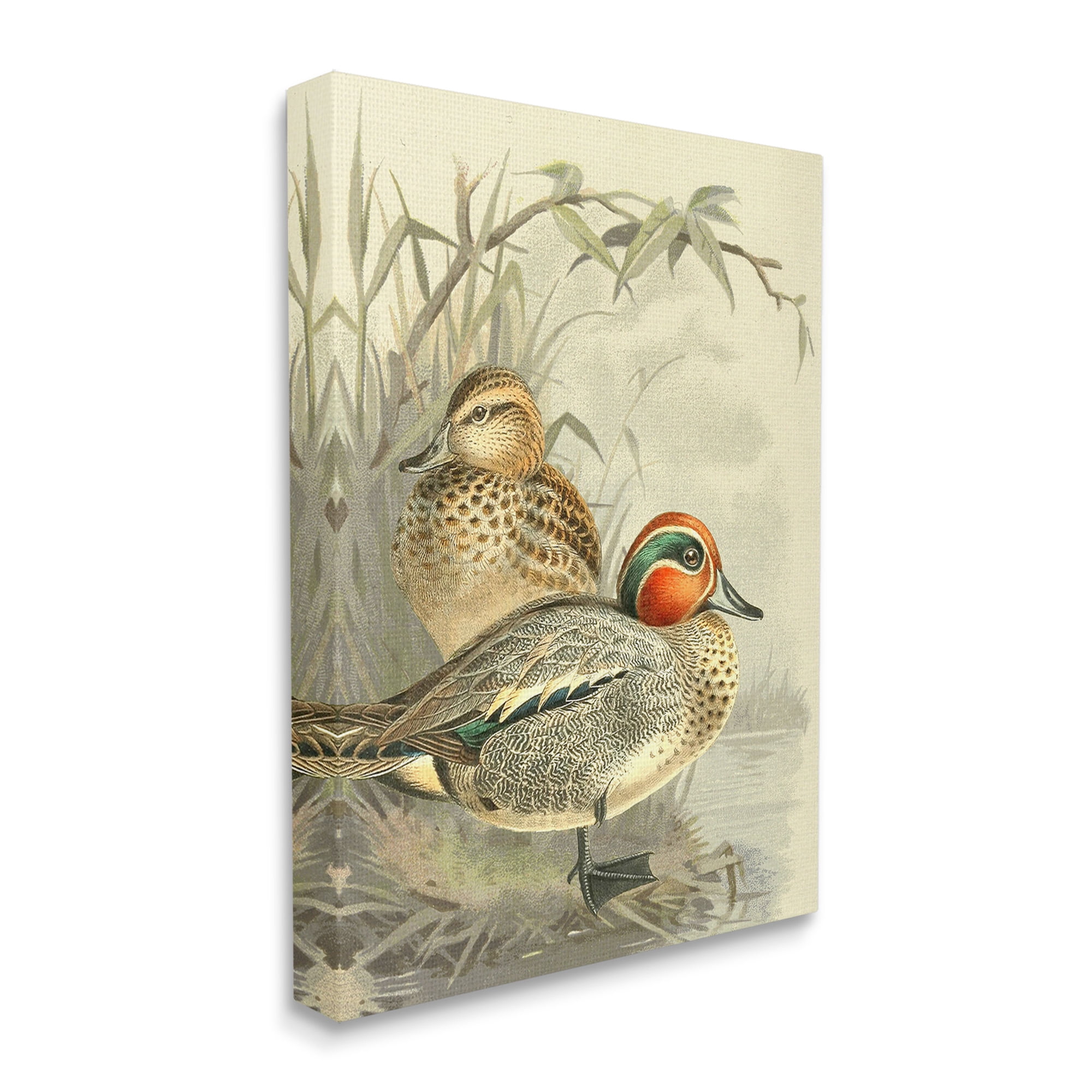 Stupell Industries Ducks with Pond Botanicals Animals & Insects Painting Gallery Wrapped Canvas Art Print Wall Art, 24 x 30
