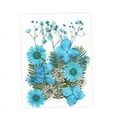 thumbnail image 2 of KLKCMS Dried Pressed Flowers Craft Making Beautiful Real Dried Flowers for Scrapbooking Blue, 2 of 9