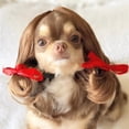 thumbnail image 2 of TechWave Pet Wig Photography Prop For Cats And Dogs Funny Hair Accessory With For Cute And Hilarious Looks Collapsible up Screen Light Paper for Photography Cardboard Sleigh Prop Happy 30th Birthday, 2 of 9