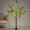 Green, variant on 4FT Lighted Eucalyptus Tree with Warm White LED Lights for Wedding Holiday Home Party Decoration Indoor Outdoor