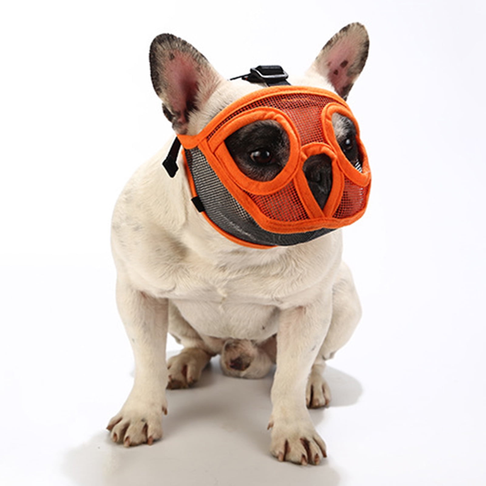 Short snout cheap muzzle petco